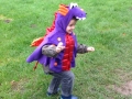 dinosaur